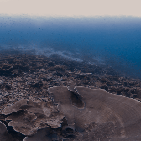 vid 20250908 105831 20251223101744 1.png