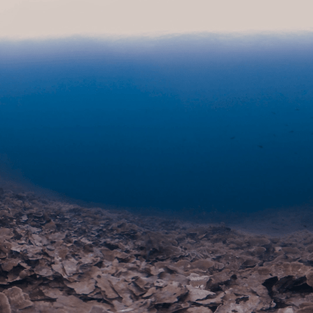 vid 20250908 110451 20251223101837 1.png