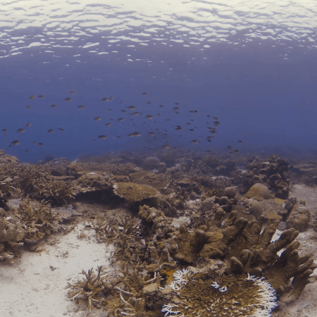 vid 20250908 122404 20251031095233 1.png