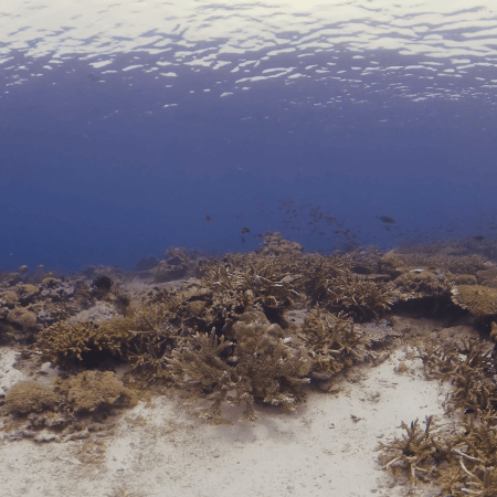 vid 20250908 122404 20251031095259 1.png