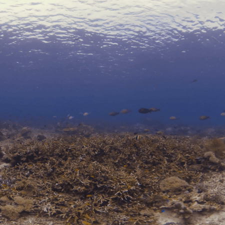 vid 20250908 122404 20251031095309 1.png