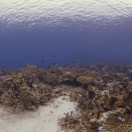 vid 20250908 122404 20251031095320 1.png