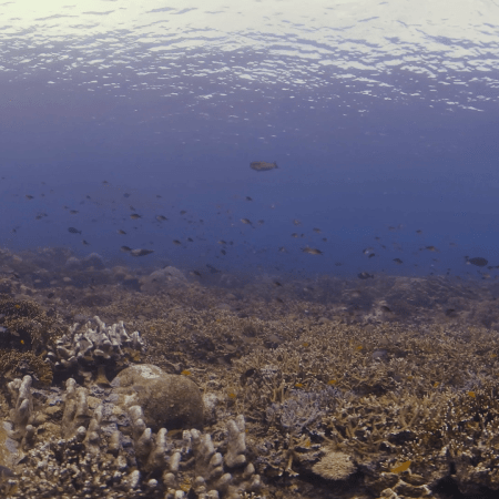 vid 20250908 123415 20251031095335 1.png