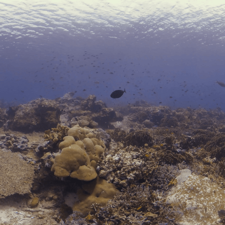 vid 20250908 123415 20251031095357 1.png