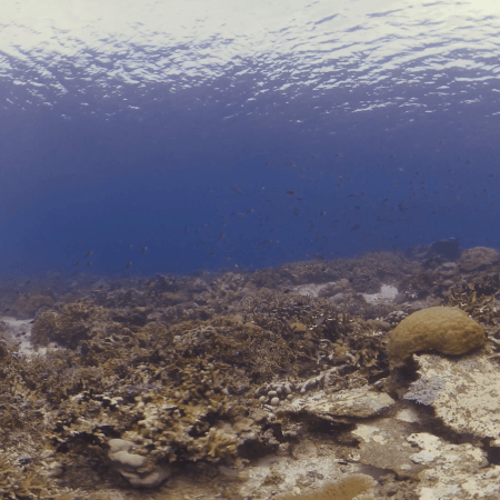 vid 20250908 123415 20251031095410 1.png