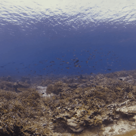 vid 20250908 123415 20251031095421 1.png