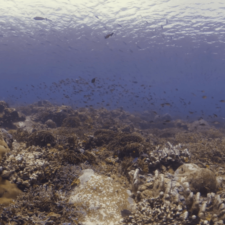 vid 20250908 123415 20251031095434 1.png