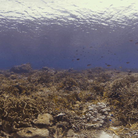 vid 20250908 124701 20251031095454 1.png