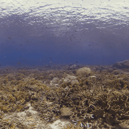 vid 20250908 124701 20251031095520 1.png