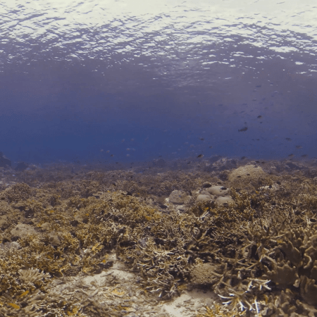 vid 20250908 124701 20251031095531 1.png