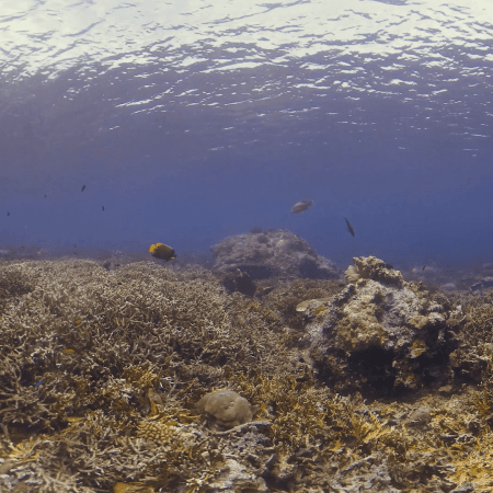 vid 20250908 124701 20251031095552 1.png