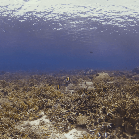 vid 20250908 124701 20251031095603 1.png