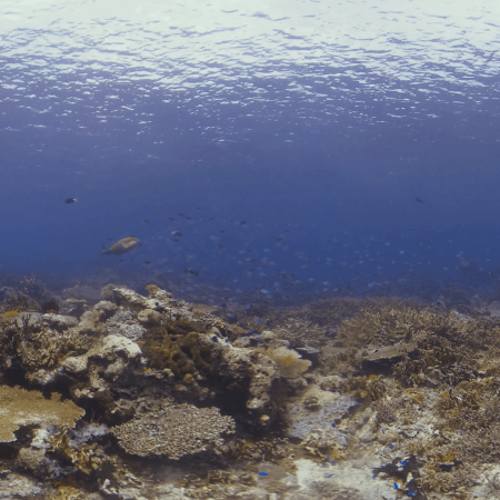 vid 20250908 125802 20251031095618 1.png