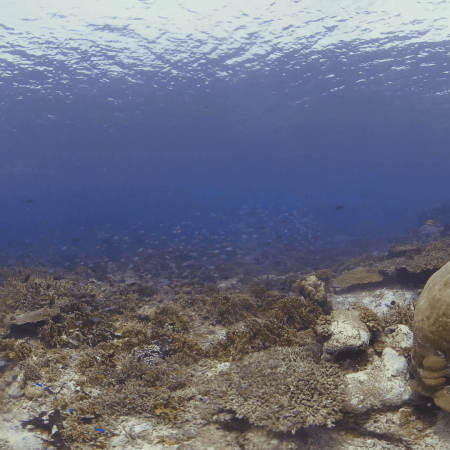 vid 20250908 125802 20251031095642 1.png