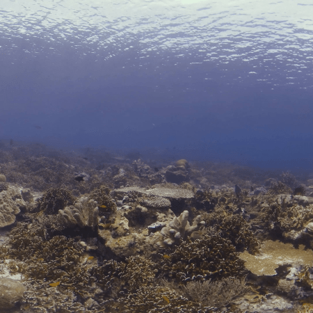 vid 20250908 125802 20251031095651 1.png