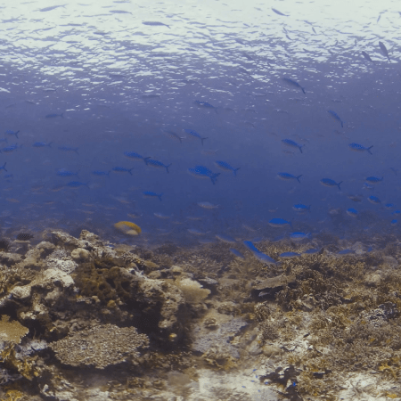 vid 20250908 125802 20251031095703 1.png