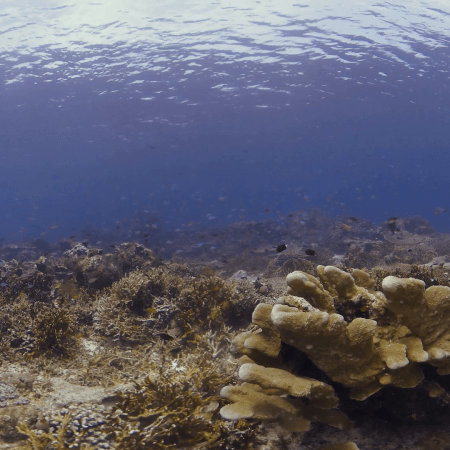 vid 20250908 130939 20251031095719 1.png