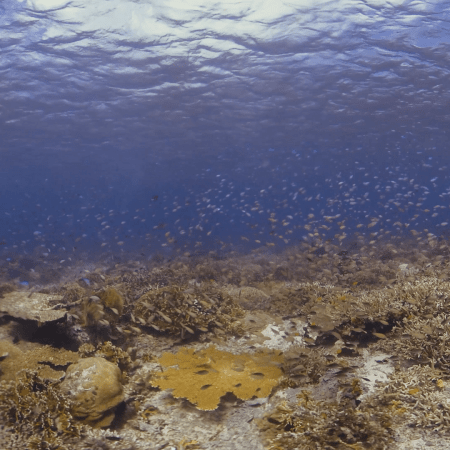 vid 20250909 142254 20251031095745 1.png