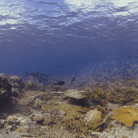 vid 20250909 142254 20251031095815 1.png