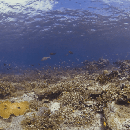 vid 20250909 142254 20251031095828 1.png