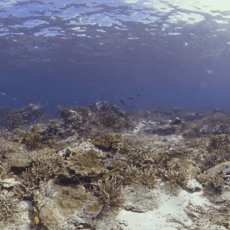 vid 20250909 142254 20251031095849 1.png