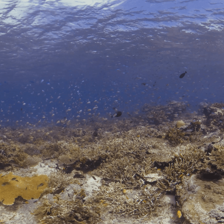 vid 20250909 142254 20251031095859 1.png