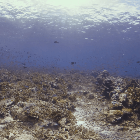 vid 20250909 142254 20251031095910 1.png