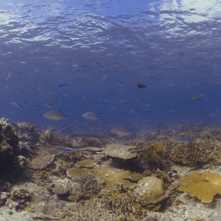 vid 20250909 142254 20251031095923 1.png