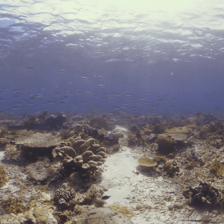 vid 20250909 143607 20251116110531 1.png