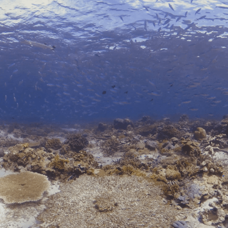 vid 20250909 143607 20251116110602 1.png