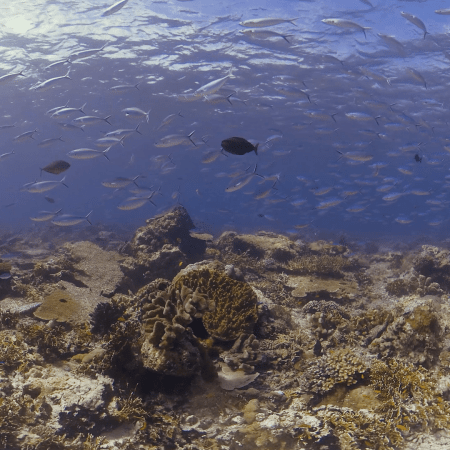 vid 20250909 143607 20251116110612 1.png