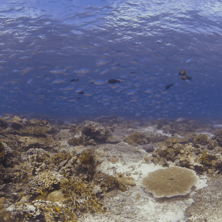 vid 20250909 143607 20251116110623 1.png