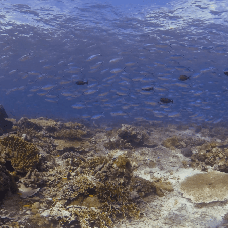 vid 20250909 143607 20251116110634 1.png