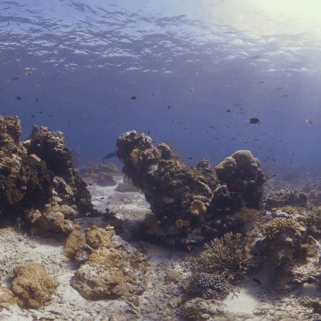 vid 20250909 144533 20251116110651 1.png