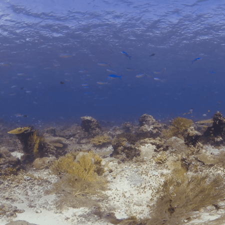 vid 20250909 144533 20251116110720 1.png