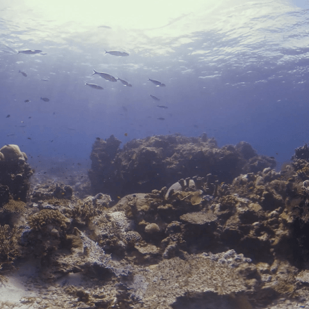 vid 20250909 144533 20251116110731 1.png