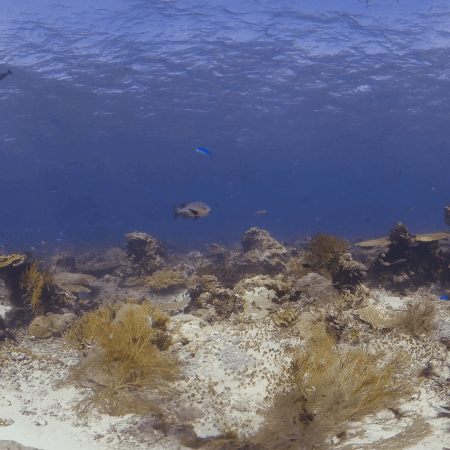 vid 20250909 144533 20251116110751 1.png