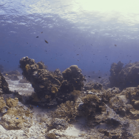 vid 20250909 144533 20251116110801 1.png