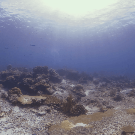 vid 20250909 145935 20251116110817 1.png