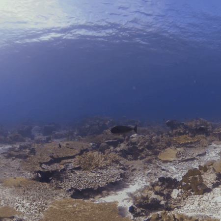 vid 20250909 145935 20251116110847 1.png