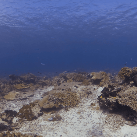 vid 20250909 145935 20251116110916 1.png