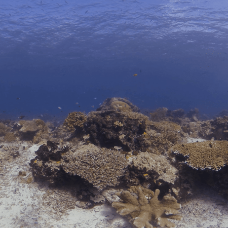 vid 20250909 145935 20251116110927 1.png