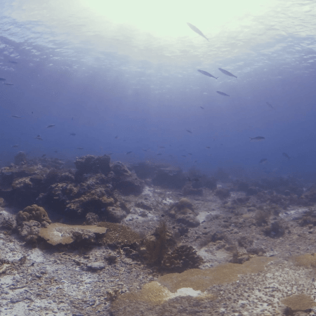 vid 20250909 145935 20251116110949 1.png