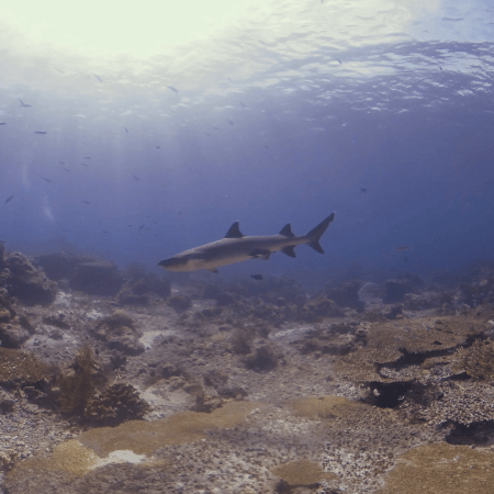 vid 20250909 145935 20251116111001 1.png