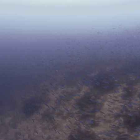 vid 20250910 110420 20260222172538 1.png