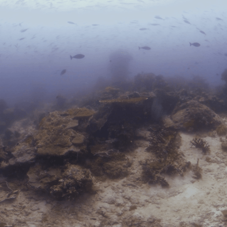 vid 20250910 110420 20260222173631 1.png