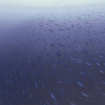 vid 20250910 110718 20260222173649 1.png