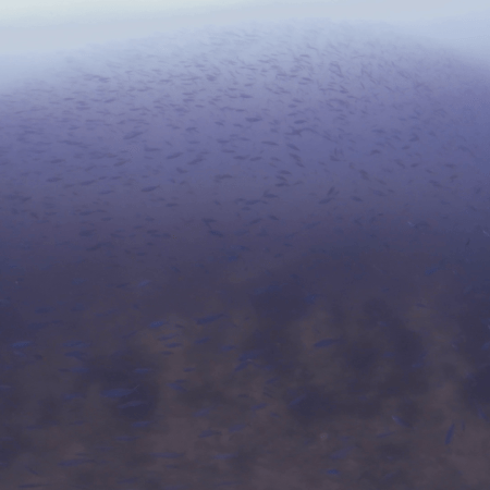 vid 20250910 110718 20260222173717 1.png