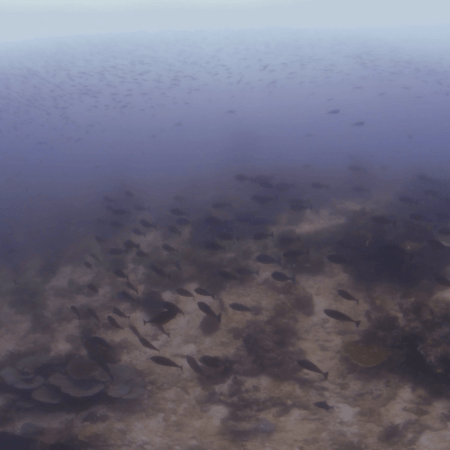 vid 20250910 110718 20260222173733 1.png