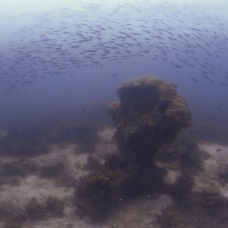 vid 20250910 110718 20260222173748 1.png